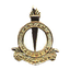 سجون تنزانيا logo