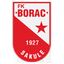 Borac Sakule logo