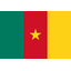 Cameroon U17 logo