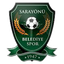 Sarayönü Belediyespor logo