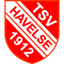 هافيلسي  logo
