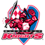 Glenorchy Knights logo
