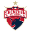 Shenzhen Ruby FC logo
