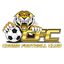 Cooma Tigers FC logo