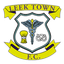 ليك تاون logo