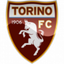 Torino U19 logo