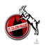 فيولين logo