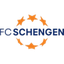 شينغن logo