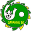سافان logo