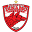 Dinamo Bucureşti II logo