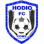 Hodio logo