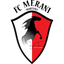 ميراني مارتفيلي الثاني logo