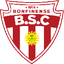 Botafogo BA