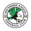 Southside Eagles logo