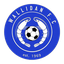 Wallidan logo