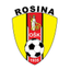 روزينا logo