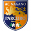 Parceiro Nagano W