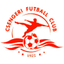 تسينجر logo