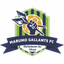 Marumo Gallants U23 logo