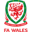 ويلز logo