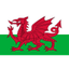 Wales U17 logo