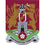 نورثهامبتون تاون logo