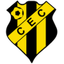 كاستانيال logo