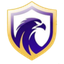 فالكون  عامًا
