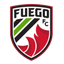 سنترال فالي فويغو logo