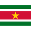سورينام logo