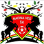 ناتشينا فيس logo