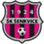 شينكيفيتسي logo