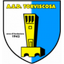 تورفيسكوسا logo