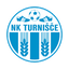 تورنيشتي logo