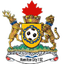 Hamilton City logo
