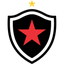 Botafogo PB U20 logo