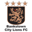 Bankstown City Lions logo