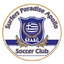 سيرفرز بارادايس أبولو logo