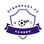 ستييدفاست logo