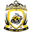 فينومس فايبرز logo
