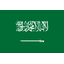 Saudi Arabia U17 logo