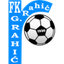 Gornji Rahić logo