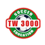 شعار تيلت-وينجه 3000