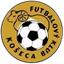 كوشيتسا logo