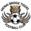 Menai Bridge Tigers logo