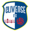 كليفينسي logo
