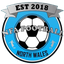 إن إف إيه logo