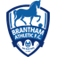 Brantham Athletic W logo
