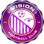 فيجن logo