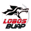 Lobos Buap